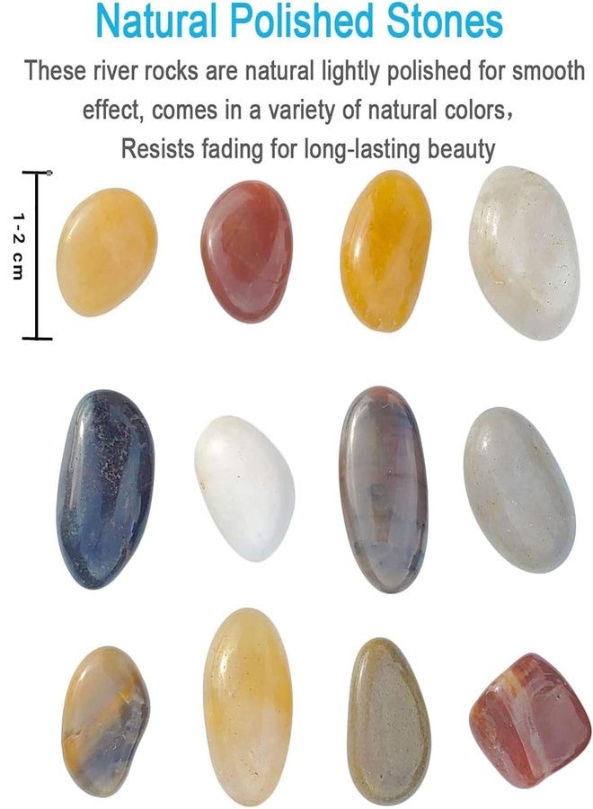 Emily Pets River Rocks for Plants 1-2 Cm Natural Decorative Stone for Indoor Pots or Vase or Outdoor Garden Landscaping Polished Mixed Pebbles for Planters (1.95kg) - Image 2